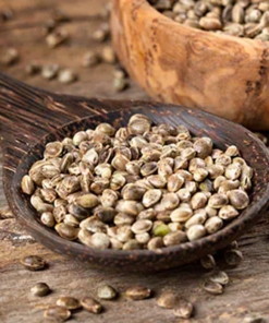 Sesame Seeds
