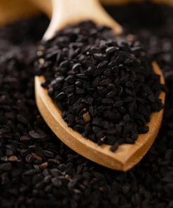 Onion Seeds
